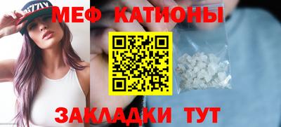 шишки Аргун