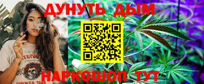 шишки Аргун