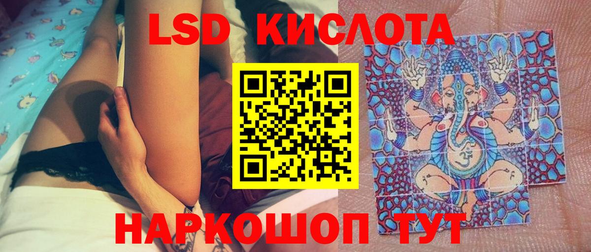 A PVP Вольск