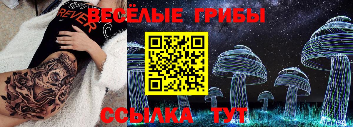 где продают   Вход с VPN  Вольск  Галлюциногенные грибы мухоморы 
