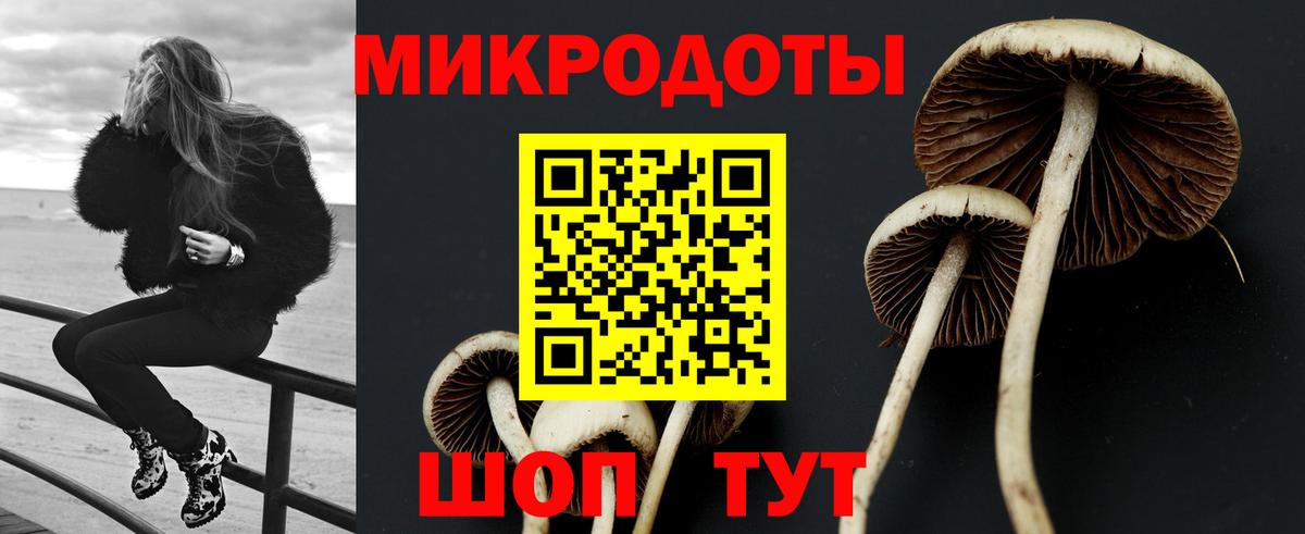 Галлюциногенные грибы прущие грибы Вольск
